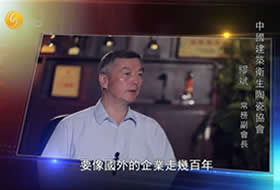 凤凰卫视专题片